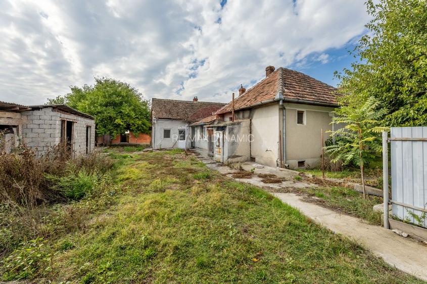 Casa spatioasa in Pancota ideala pentru doua familii - 18