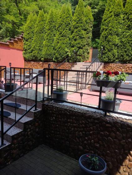 Pensiune(Casa de locuit) + Restaurant, Cugir – pe marginea râului Mare - 6