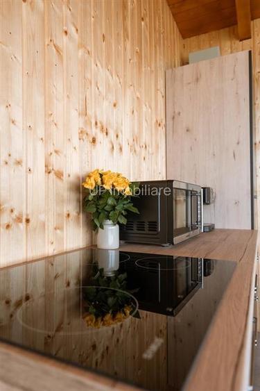 COMPLEX TURISTIC | SAT RONTAU | ZONA BAILE 1 MAI | BIHOR - 19