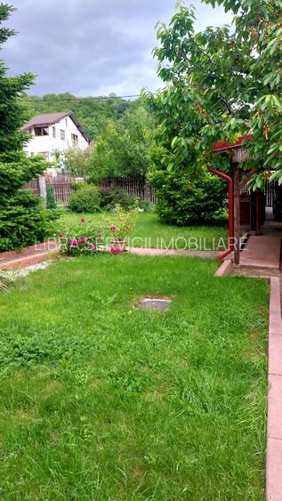 Cornu de Sus, casa P+M, mobilata si utilata - 5