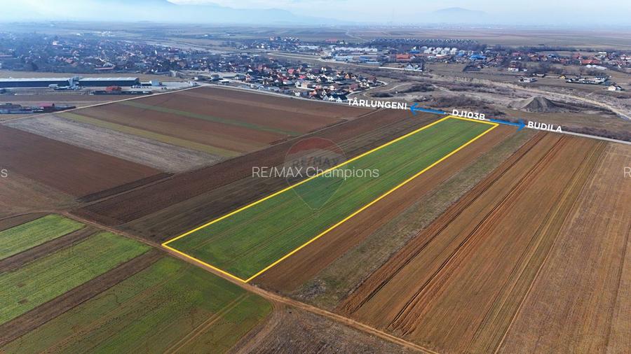 Teren extravilan | 14,600mp | Tărlungeni - 2