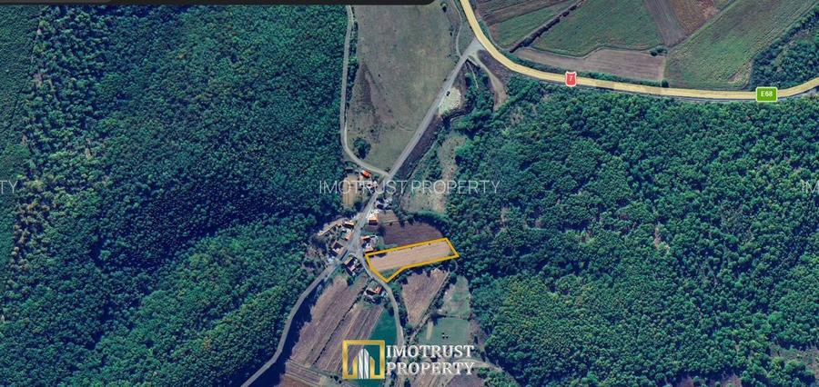 Teren cu acces la râu în Stejar – ideal pentru cabane sau retreat - 10