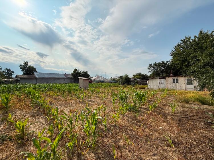 Casă 3 camere + anexe, teren 1700 mp, zona liniștită – Slobozia Ciorăști - 3