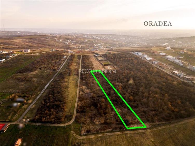 Reco Teren intravilan in Saldabagiu de munte 4333MP - 7
