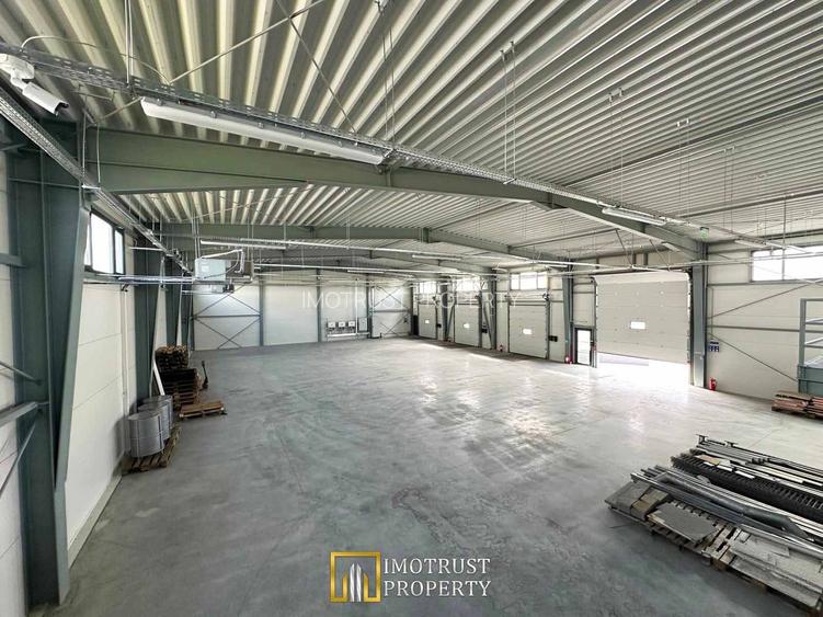 Hala de inchiriat, Arad Zona Industriala Sud- 871 mp - 7