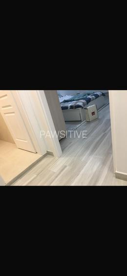 Tineretului Parc,Garsonieră Totul Nou - 3