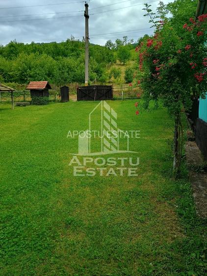 Casa batraneasca de vanzare, 4 camere, in Hunedoara, sat Micanesti - 5