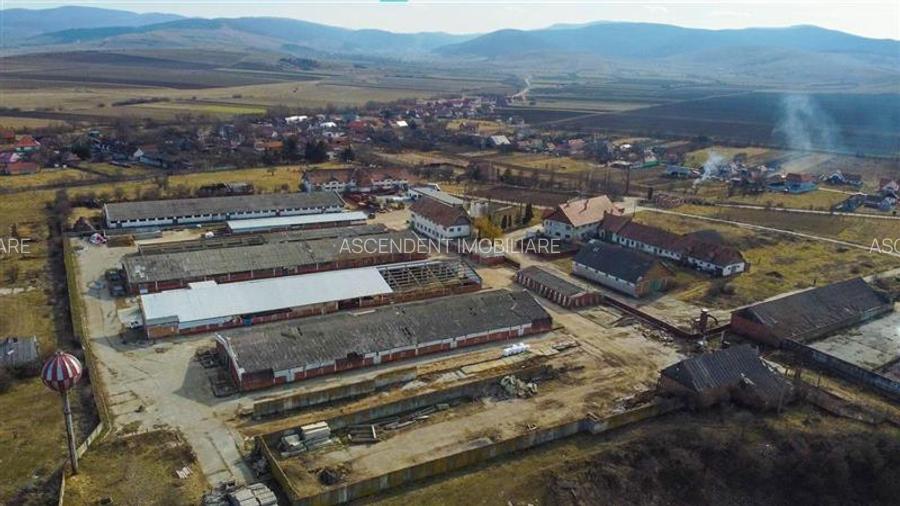 FILM! Complex agrozootehnic cu traditie, echipat + pretios potential multiplu - 43