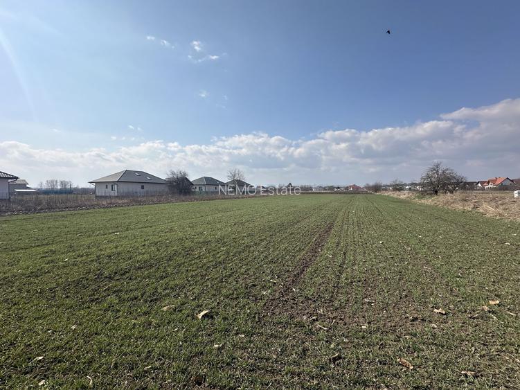 Teren intravilan 20 ari | Rădăuți | Front stradal 19.49 m - 5