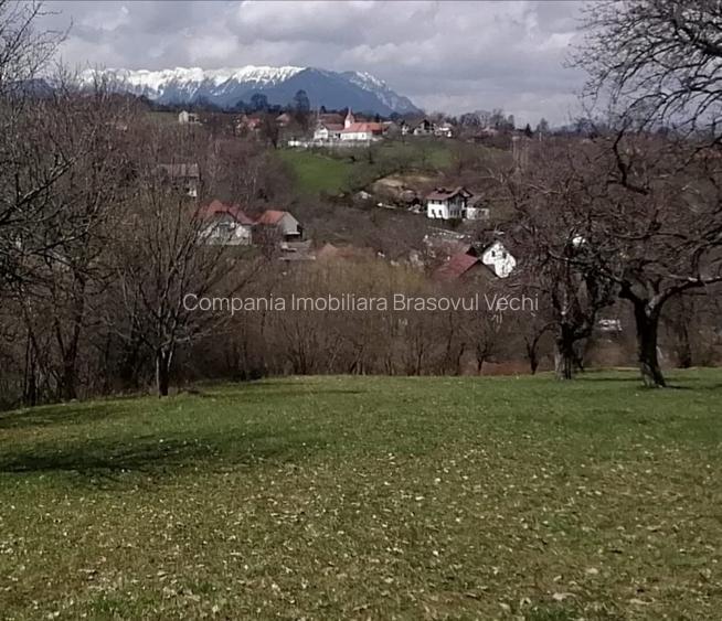 Teren intravilan parcele 1.500 mp Sohodol - Bran. - 4