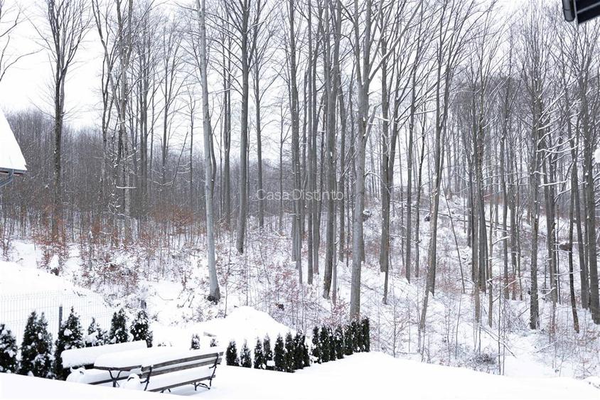 Exclusivitate! VILA PREMIUM CU DESCHIDERE LA LAC MOGOSA - 18