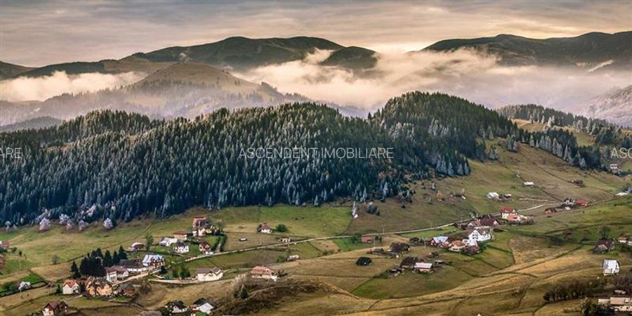 7.000 mp, pozitie spectaculoasa, fara vecini, Fundatica, Brasov - 36