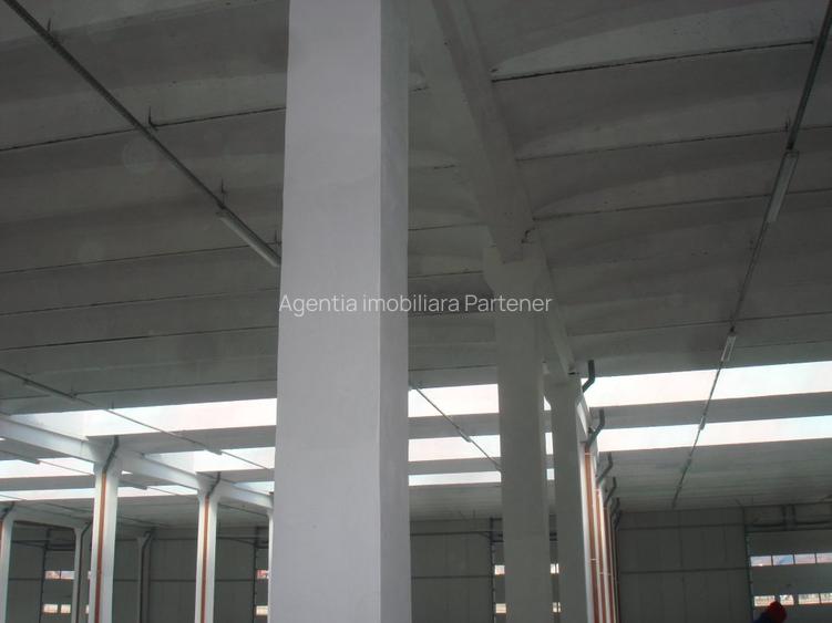 Hale noi Stefanesti, suprafete 200-8000mp - 4