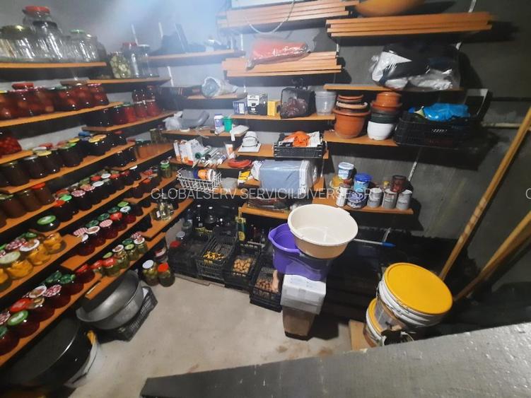 FARA COMISION casa 4 camere 2 bucatarii 2 puturi beci livada 1500mp SAU 3300mp - 20