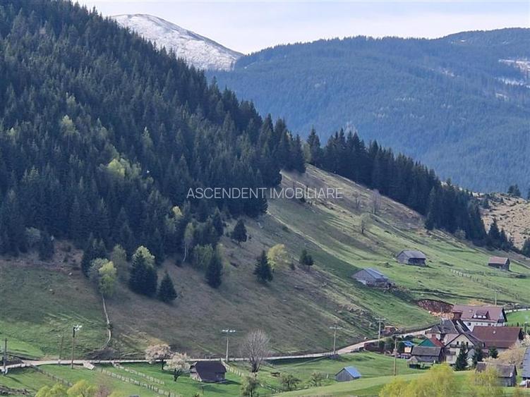 7.000 mp, pozitie spectaculoasa, fara vecini, Fundatica, Brasov - 10