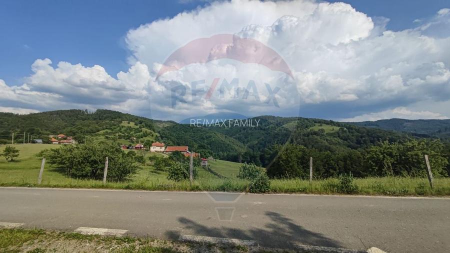 Teren 130000 mp extravilan, faneata si padure, Munteni - Bulz, Negreni - 8