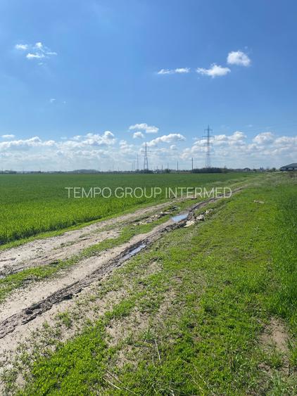 Sabareni - Certificat de Urbanism - 5808mp teren pentru investitie !! - 23