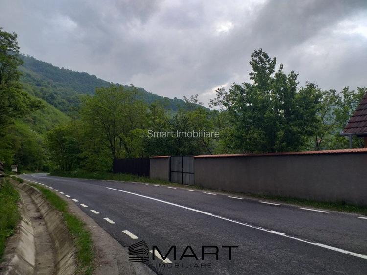 Teren extravilan 7432 mp, cu cabana de lemn Capalna AB - 9