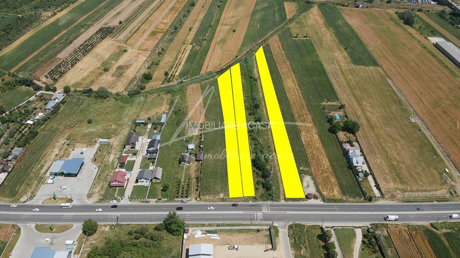 Teren cu potențial de dezvoltare –7427 mp în Argeșelu, Mărăcineni, județul Arges - 2