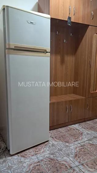Garsoniera etaj 2, zona Radu Negru, Locuibila - Mobilat - Utilata. - 5