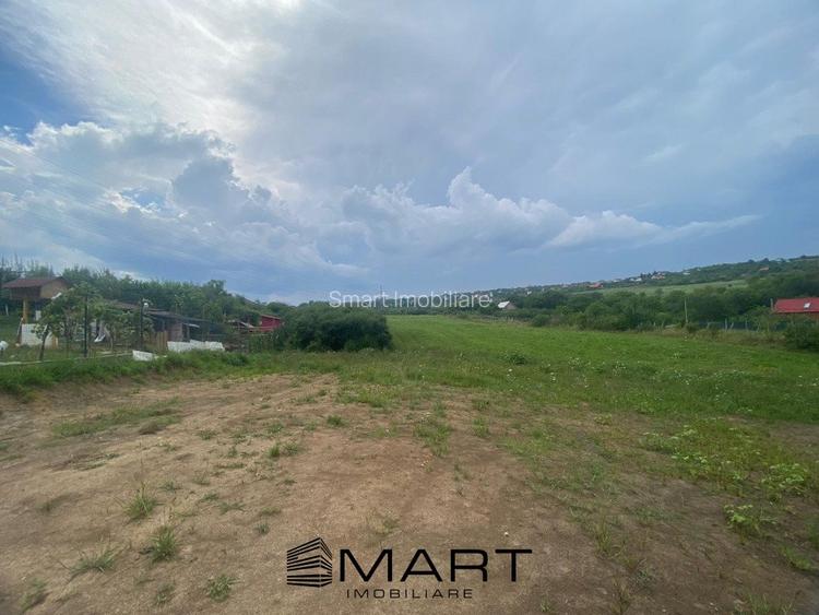 Teren 8000mp Daia noua - 6