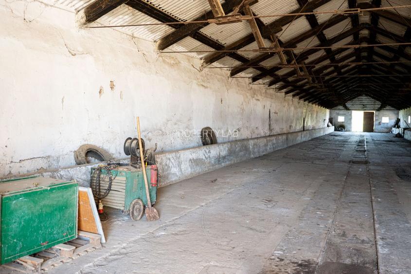 Spațiu depozitare 734mp și teren de 7.844mp Macea - 3