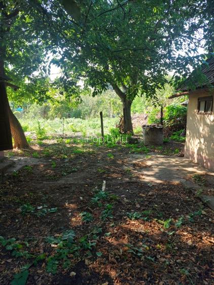 Casa de vanzare in Arad - 4