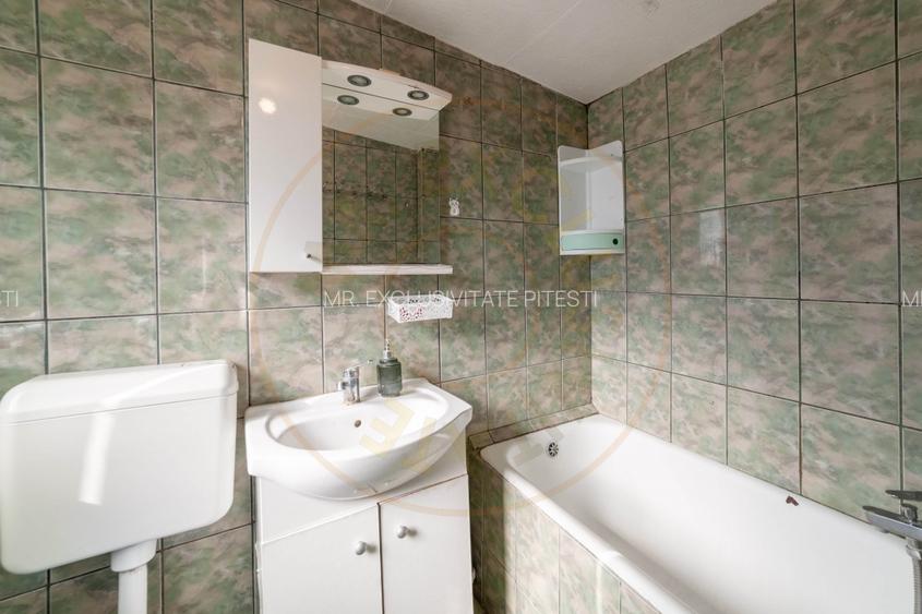 Casa parter + 3.055 mp teren in Costesti - 10