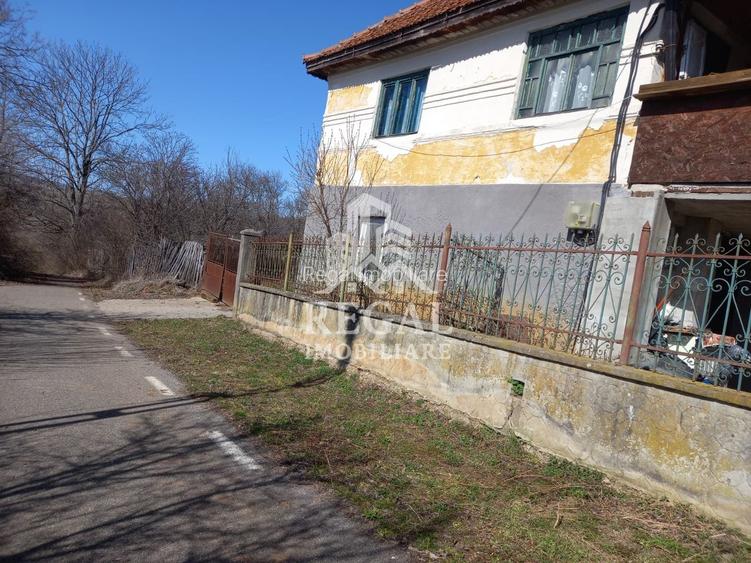 Două case de vânzare – Cerisor – teren generos 6996 mp - 2