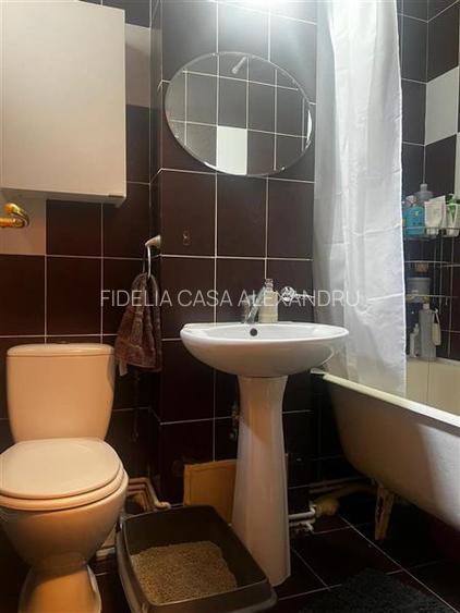 Apartament 2 camere Decomandat 52 mp in Mircea cel Batran - 12