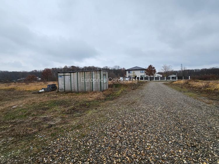 BALOTESTI- STRADA  MARGARETELOR - 2