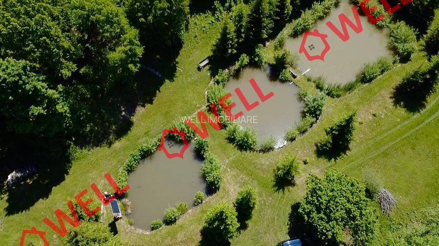 Cabana deosebită de vânzare între Valea Zălanului și Malnaș! - 4