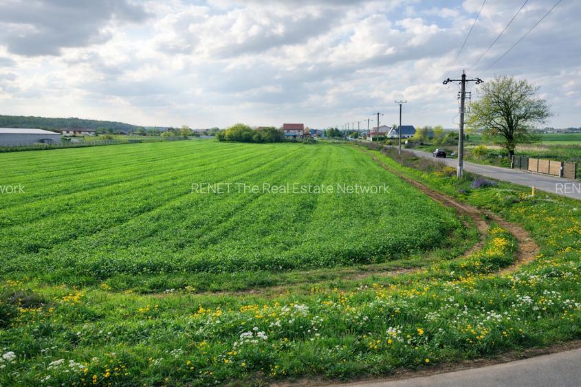 Teren intravilan 7.811 mp | Ciolpani, Ilfov | Acces drum public - 6