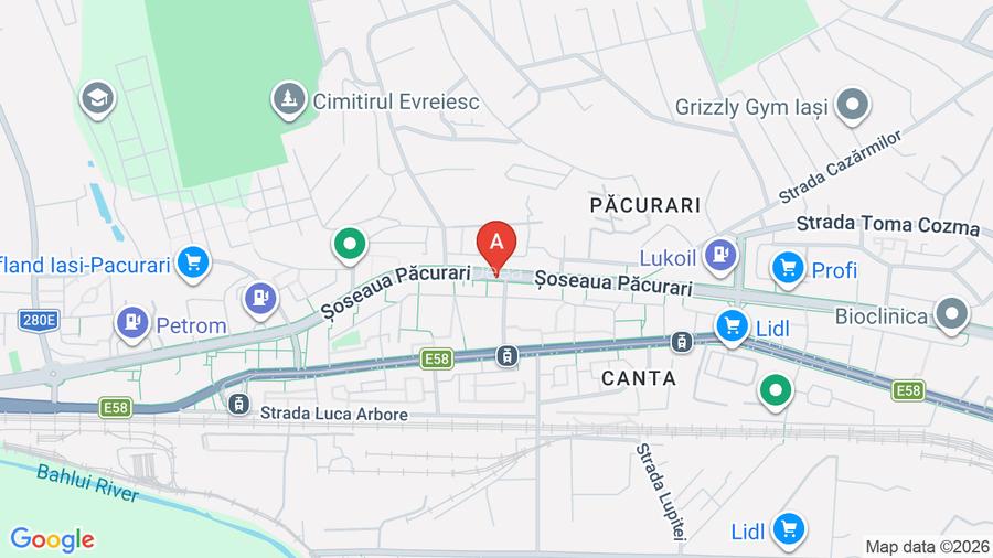 Proprietar (fara comision) apt 1 camera  Pacurari AC - 6