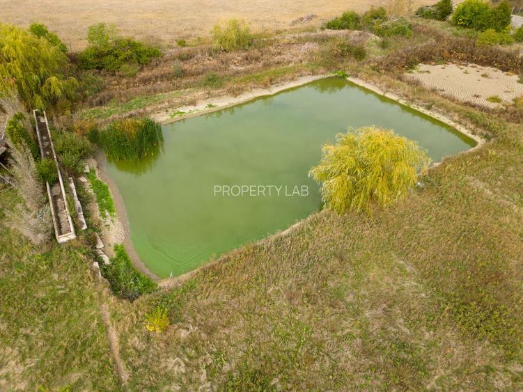 Teren 13.418 mp intravilan cu casă și 2 iazuri - 6