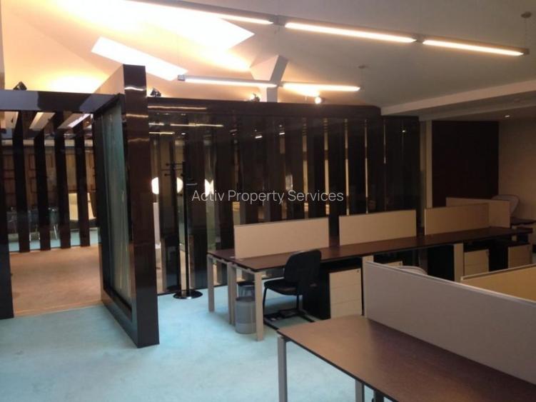 DIONISIE LUPU 70-72, Romana - comision 0%, reprezentam proprietarul! - 12