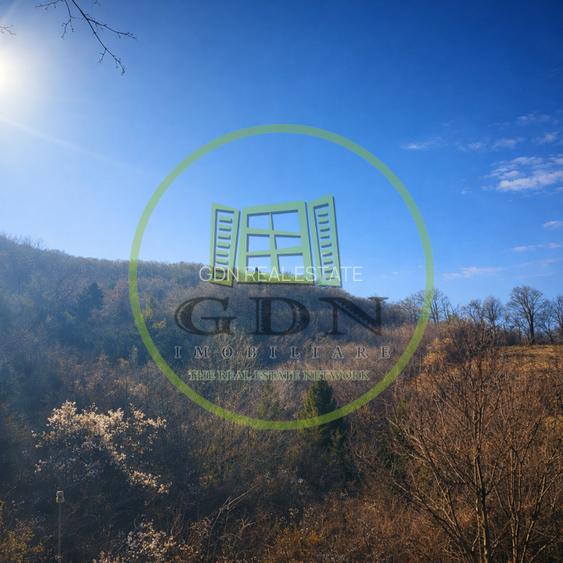 Pădure de vânzare în Scheii Brașovului 2 hectare de natură Brașov Schei - 8