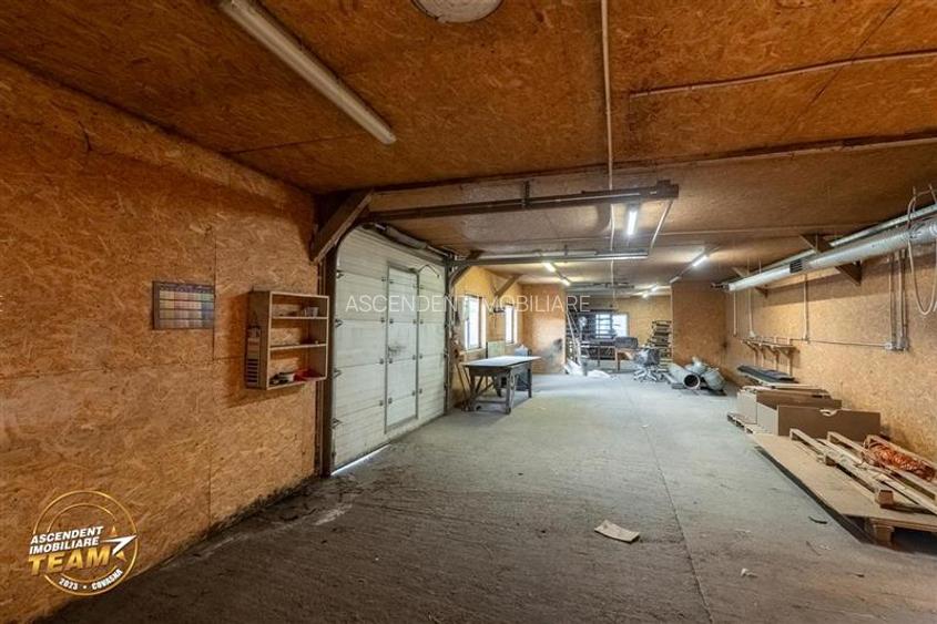 Complex industrial modern,acces dublu, potential apreciabil,Valea Crișului, - 34