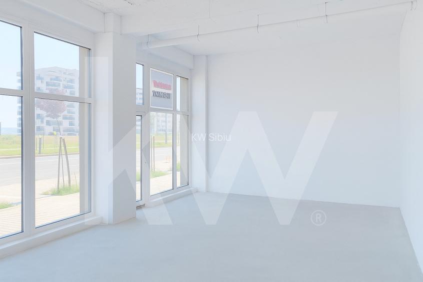 Spatiu comercial stradal 140mp B-dul Mihai Viteazu Dedeman D-na Stanca - 2