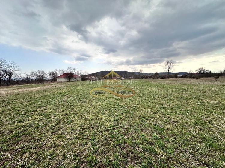 Teren de vanzare Blagesti Bacau - 7