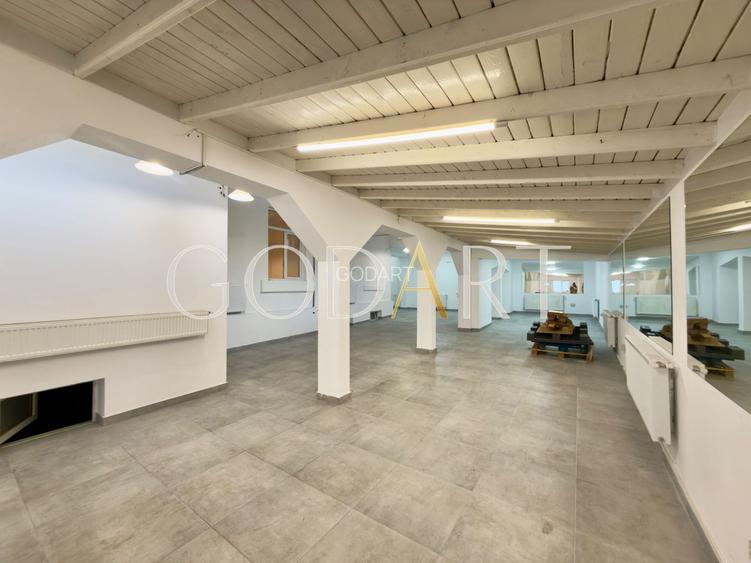 Vila spatioasa | Complet renovată | Central - 4