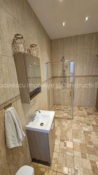 Vila individuala la 30 km de Timișoara - 12