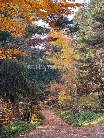 DE VANZARE Pensiune | 12 camere | Bisoca / Buzau - 22