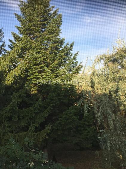 De Vânzare – Fermă de Pomi Fructiferi, 48,8 ha, Iancu Jianu, Jud. Olt - 13