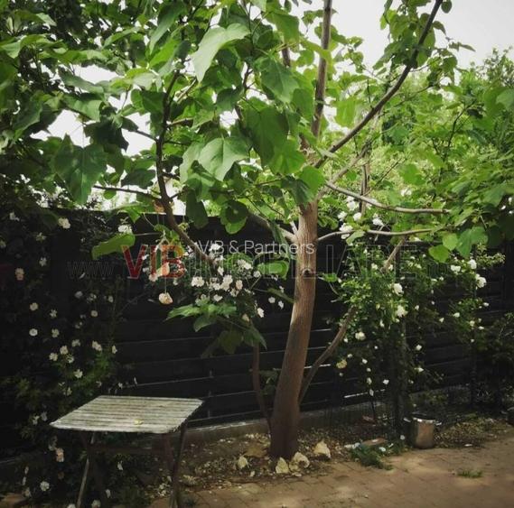 Apartament 2 camere parter curte proprie – Otopeni, zona Odăi (Str. Școlii) - 13