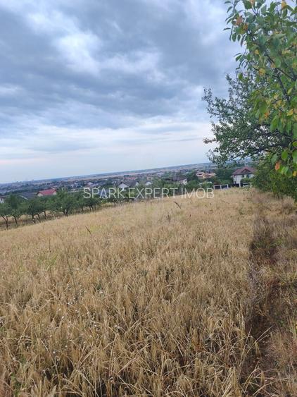 TEREN INTRAVILAN//PAULESTI//2930MP - 3