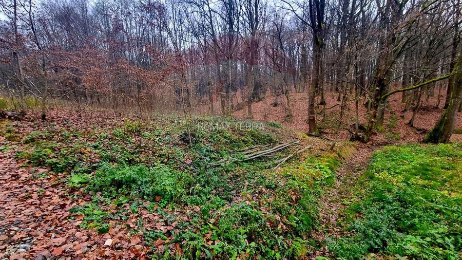 Apa Sarata Teren de vanzare cu deschidere la padure - 4