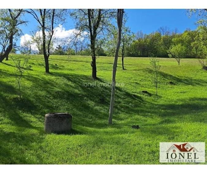 Casa de vanzare cu 46774 mp teren in zona Vintu - 10