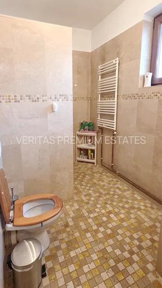 Vila de inchiriat pentru birouri, Unirii rond Alba Iulia, curte - 9