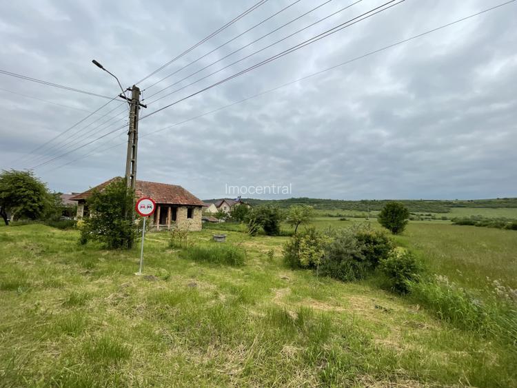 Teren 2800mp cu front de 30m la DJ, ideal pentru constructie - 4